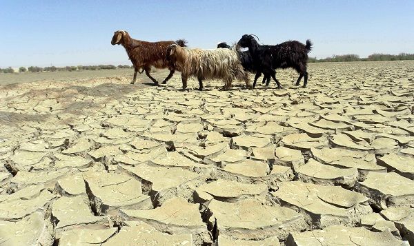 سازمان ملل درباره ادامه خشکسالی در افغانستان هشدار داد