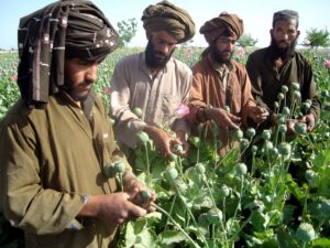 نگرانی هند درباره افزایش تجارت مواد مخدر در افغانستان
