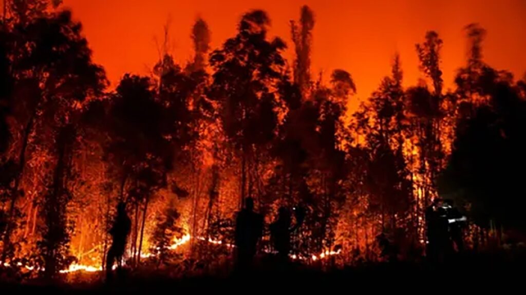 تداوم آتش‌سوزی‌های گسترده در شیلی؛ افزایش قربانیان به 112 نفر