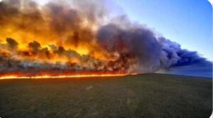 آتش زدن جنگل‌های مرزی افغانستان توسط نیروهای امنیتی تاجیکستان