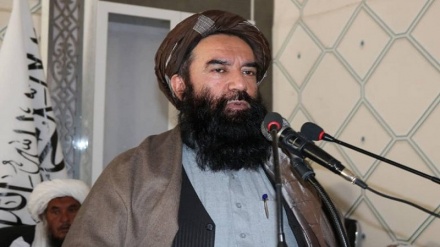 طالبان: هدف اشغال‌گران تفرقه‌افکنی در افغانستان بود-ایراف نیوز